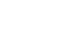 bipsol-logo-white